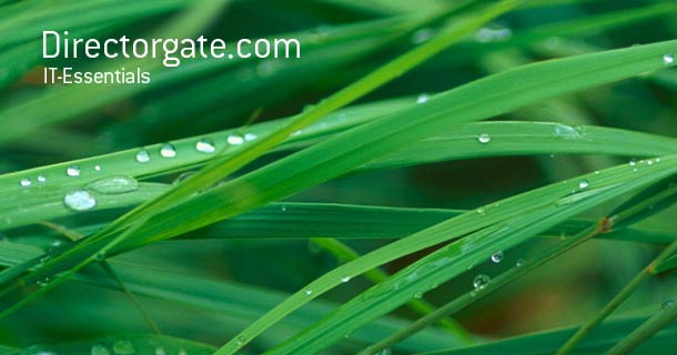 blog.directorgate.com